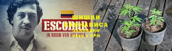 эйфоретик Алексеевка